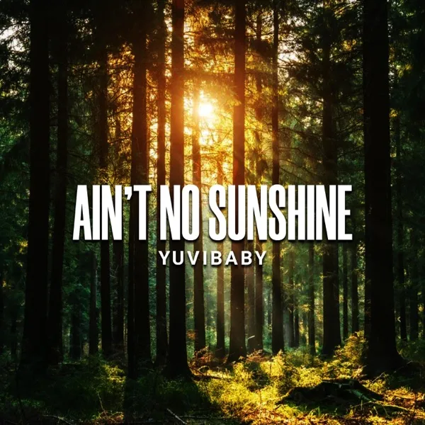 Ain't No Sunshine single cover: sunlight breaking through a forest.